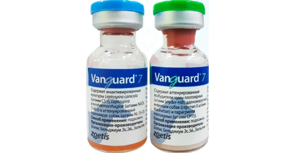Фелиген вакцина. Вангард вакцина для собак. Вангард 5/l и Вангард 7.